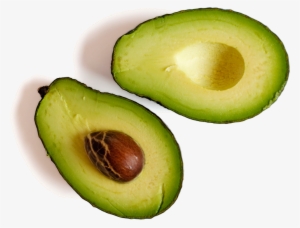 Avocado - Palta Para Pintar