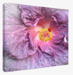 Digital Photo Printing To Canvas Turn Photos Into Art - Canvas