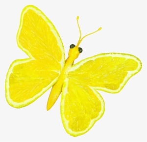 This Free Icons Png Design Of Citrus Fruit Butterfly