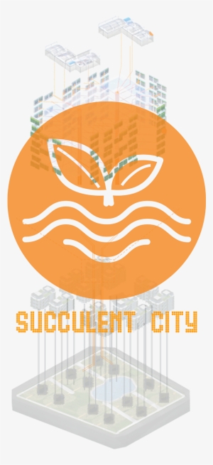 Succulent City