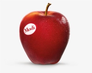 Modi Apple
