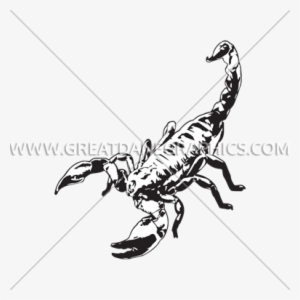 Scorpion Night - Printed T-shirt