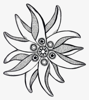 Svg Royalty Free Edelweiss Drawing - Edelweiss Draw