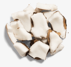 Coconut Milk - Hair Conditioner