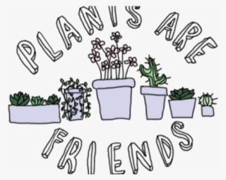 Drawn Plant Cactus Succulent - Plants Are Friends