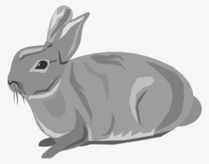 Free - Rabbit Clipart Transparent Background