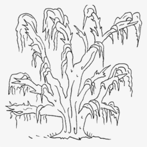 Audubon Park Oak Tree Engagement Session - Line Art