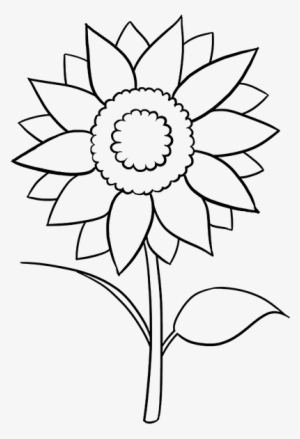 Drawn Sunflower Easy - Słonecznik Kolorowanka Do Wydruku