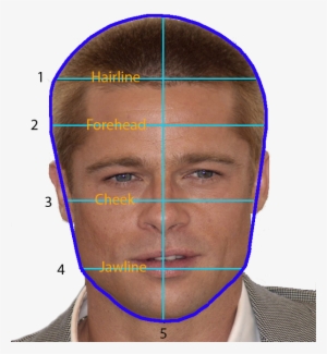 Brad Pitt Large - Hairstyle