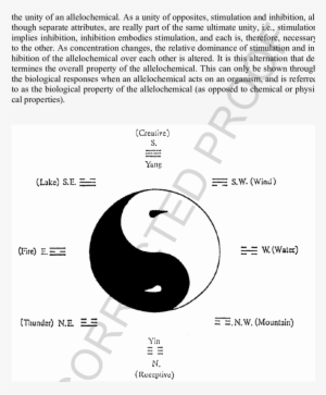 Schematic Representation Of Yin/yang Theory - Scientific Diagram