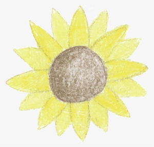 Sunflower - Kreative Transparentpapier Sterne
