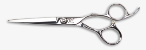 Hair-cutting Shears