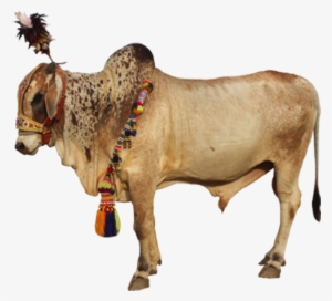 Of Our Precious Customers - Minhaj Children Hospital