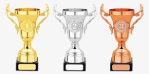 1st, 2nd & 3rd Awards - 1st 2nd 3rd Trophies Png