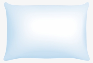 Why Do I Need A New Pillow - Lechuza Self-watering Planter