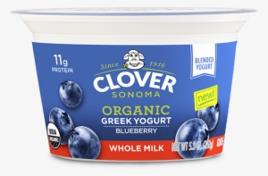 Blueberry - Clover Ice Cream, Chocolate - 1.5 Qts (1.42 L)