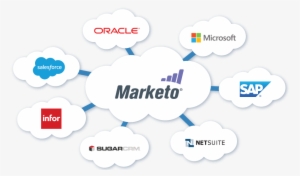 Marketo Sync - Marketo