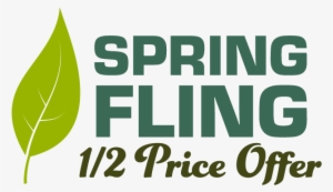 Spring-fling - Cafepress Fiddle Dee Dee Gone With The Wind Throw Pillow