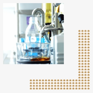 Mari-values - Portable Network Graphics