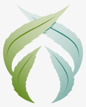 Foster Buds - Ne Glisan