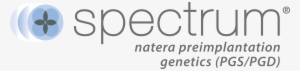Logos - Natera Constellation