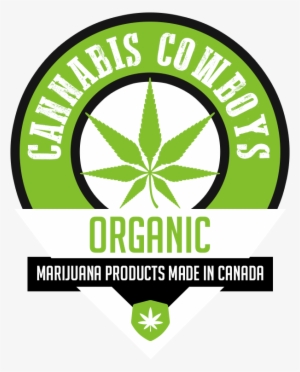 We Take Pride In Our Extensive Collection Of Original - Avatar