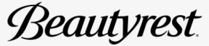 Beautyrest Bedding - Beautyrest Orthopaedic Wedge Pillow