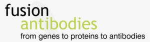 Fusion Antibodies Logo Png Transparent - Parallel