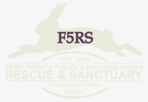Frisky Ferrets, Fuzzies And Feathered Friends Rescue - F5rs