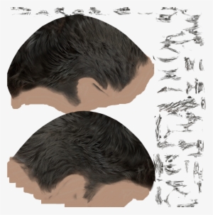 Male02 Diffuse Black - Hair