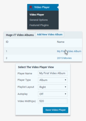 Wp Video Player Select Player View - Video