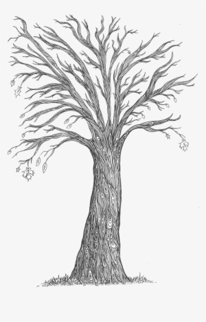 The Trees, Which Are Designed To Represent The Monster's - Sketch