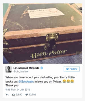 Hamilton Star Loves Harry Potter - Harry Potter Trunk