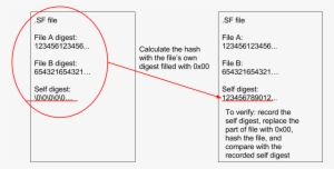 Untitled Drawing - Drawing