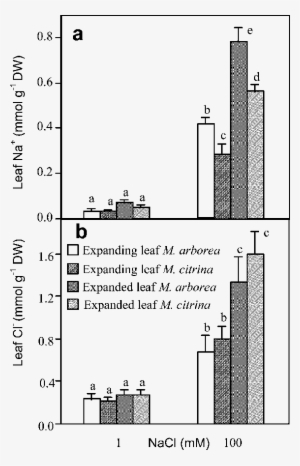Leaf Na And Leaf Cl À (b) Of Individual Expanding And - Leaf