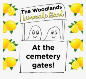 Woodlands Lemonade - Complete Idiot's Guide To Book Proposals