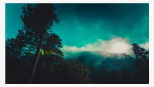 Score 50% - Walking In The Sun