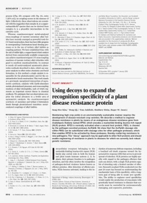 Letterhead Templates