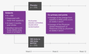 Study 6 Design1 - Safety And Efficacy In Clinical Trials For Botox In