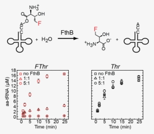 Mcmurry, M - Diagram