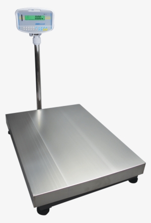 Gfk Adam Platform Weighing Scales