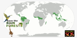 Save The Rainforest - World Map Blank Borders