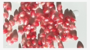 Deep Orange Spiked With Garnet Pomegranate Gems - Pomegranate