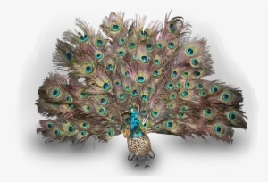 A Totally Captivating Antique Life Size Walking And