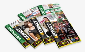 Mags4dorset - `` - Flyer