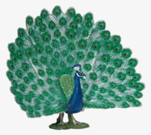 Peacock With Open Tail Figurine - Schleich Peacock