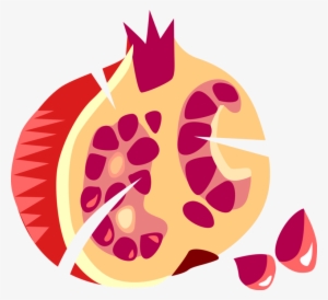 Vector Illustration Of Pomegranate Edible Fruit Berry