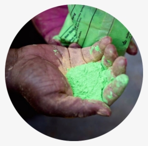 So Today, On March 6th Whole India Celebrates Holi, - Circle