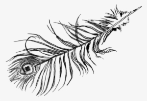 Sketch