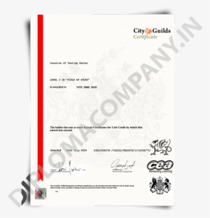 City Guilds Certificate Template Fake City And Guilds - Fake City And Guilds Certificate